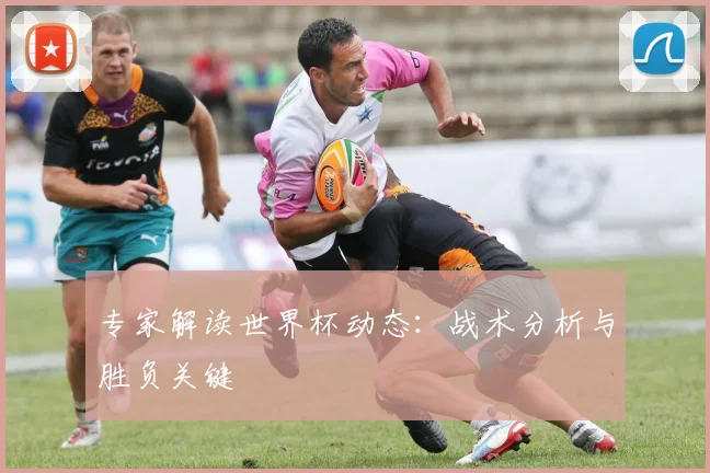 专家解读世界杯动态:战术分析与胜负关键