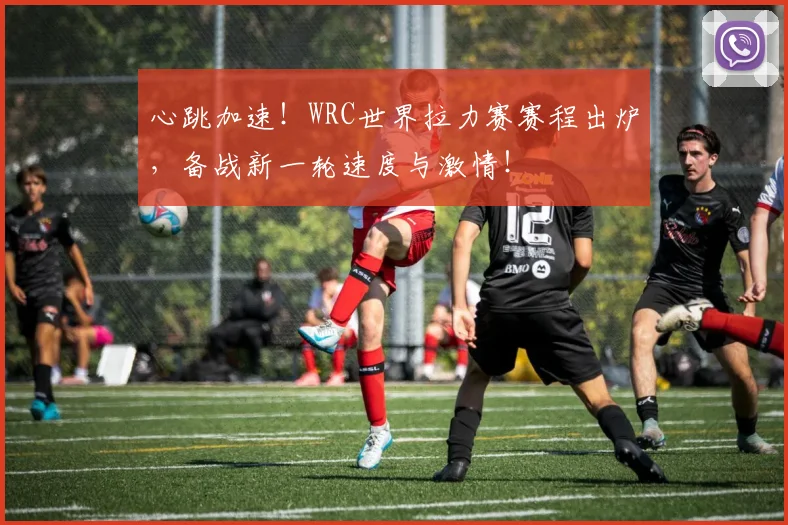 心跳加速！WRC世界拉力赛赛程出炉，备战新一轮速度与激情！